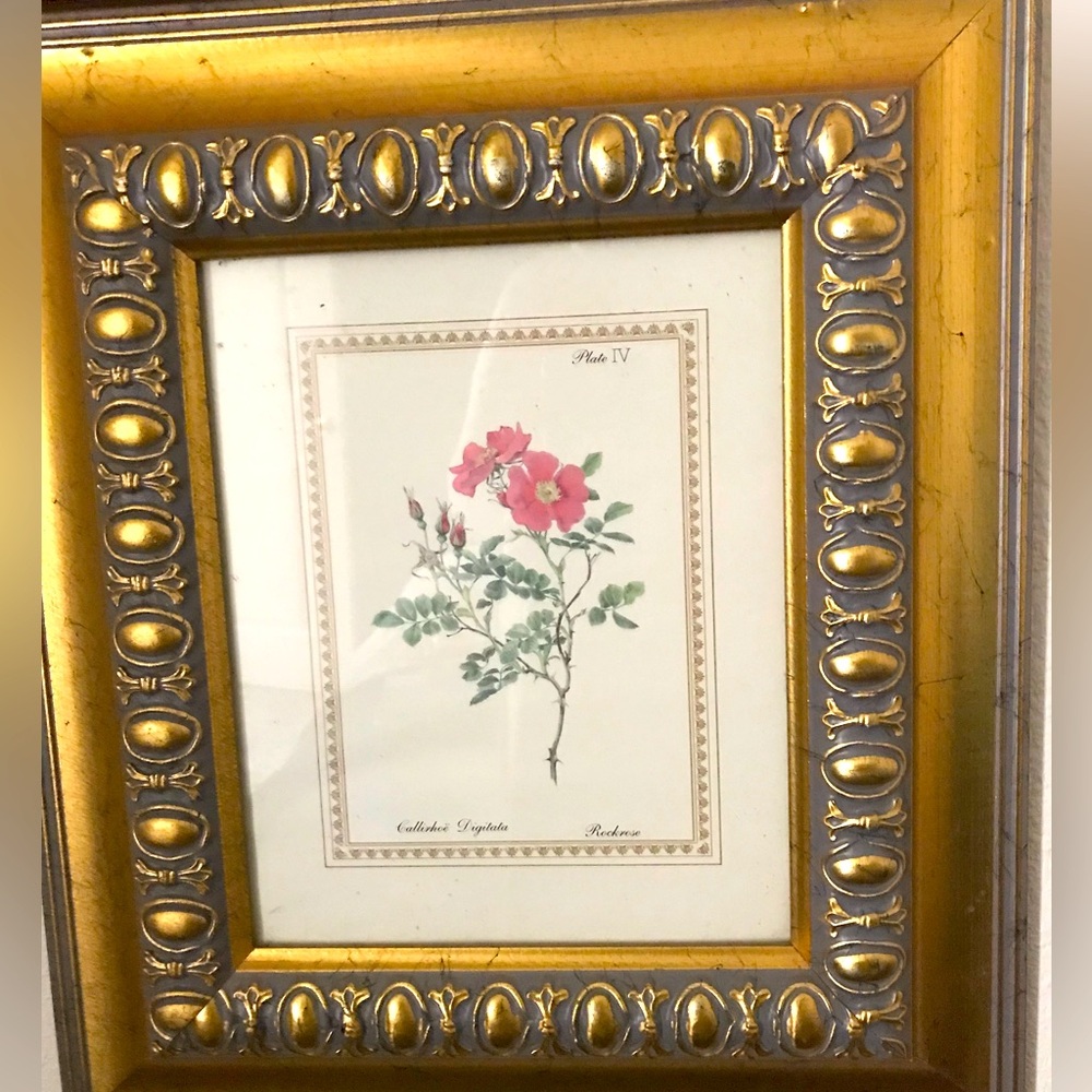 Botanical Gold Vintage Wooden Picture Floral Frame Botanical Quality Final Sale